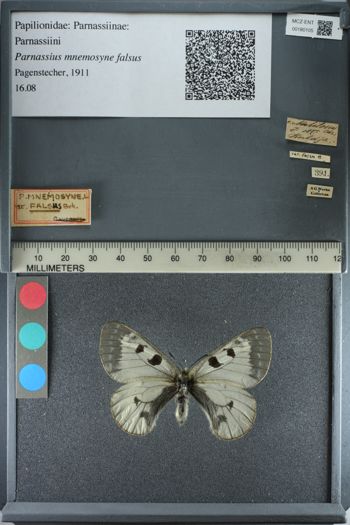Media type: image;   Entomology 180105